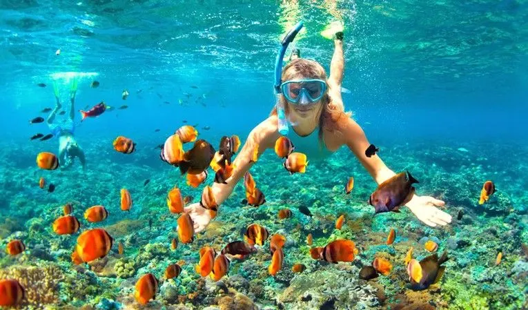 Snorkeling Tour From Marsa Alam Underwater view of tropical marine life during a snorkeling trip from Marsa Alam.