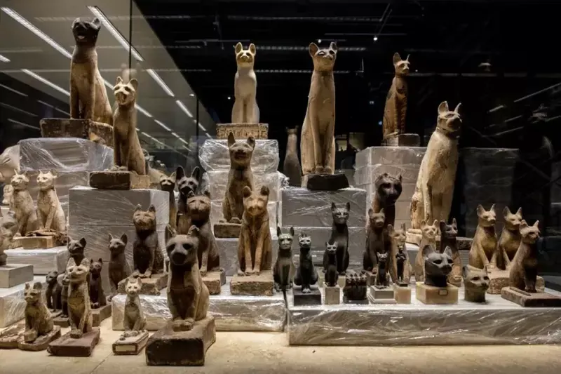 Sharm El Sheikh excursions include visit to Sharm El Sheikh Museum
