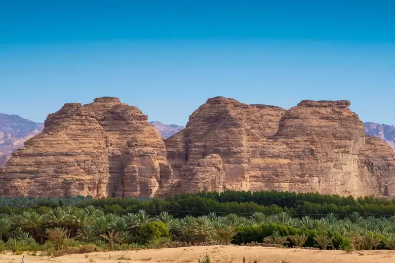 7 Days Saudi Arabia Tour