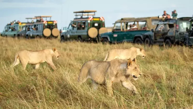 South Africa Travel Package