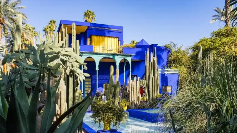 Majorelle Garden a colorful and peaceful highlight on many Tours in Morocco