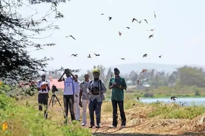 Wildlife and bird watching tour in Aswan Egypt featuring birds, river landscapes, and natural scenery