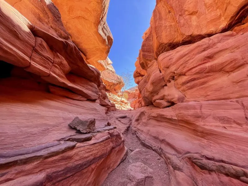 8 Days Cairo and Sharm Holidays