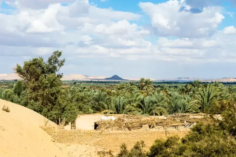 Bahariya Oasis Tours