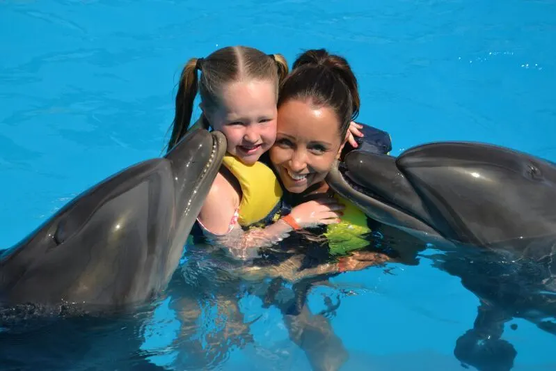 Family-friendly Sharm El Sheikh tours with a dolphin show