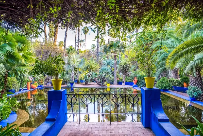 Discover the colors of Majorelle Garden with Tours in Morocco