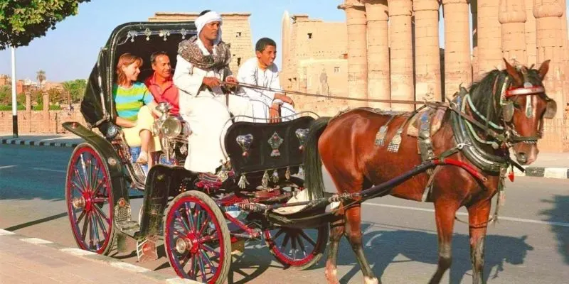 Luxor Trip Experience: Enjoy a Romantic Horse Carriage Tour by the Nile