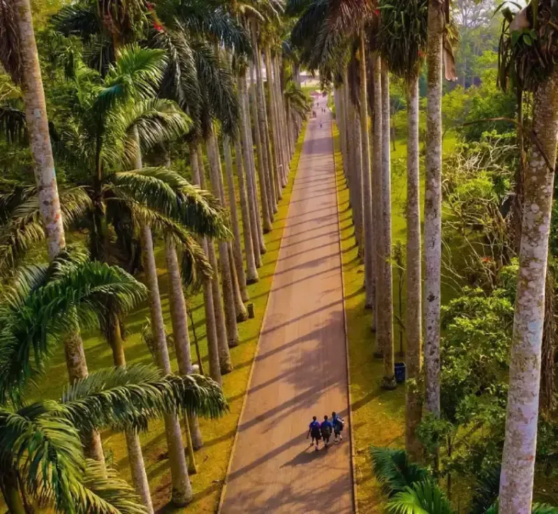 Ghana Travel Package