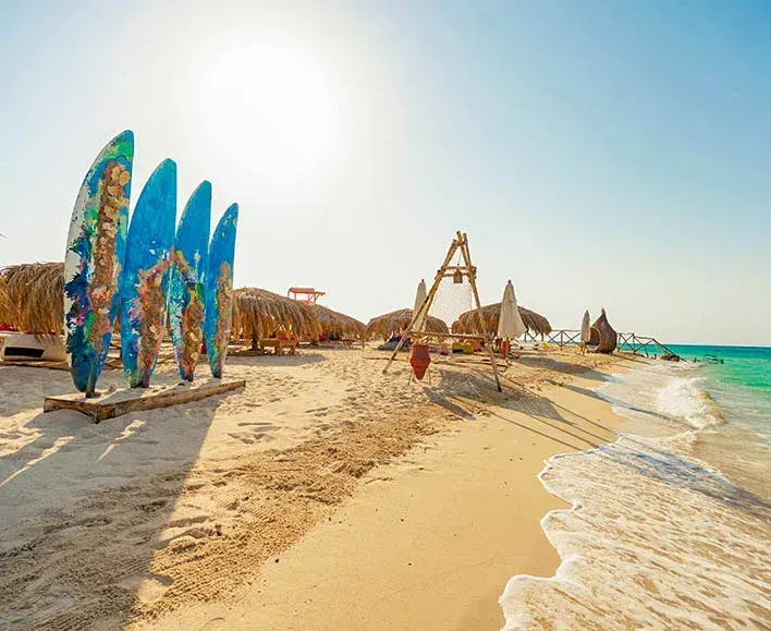 Marine life at Giftun Island snorkeling Hurghada Excursions