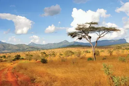 Rwanda Vacation