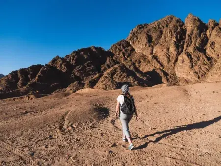 Bahariya Oasis