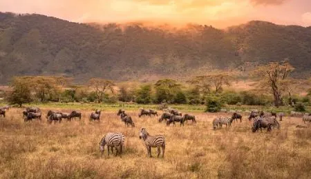 Tanzania park Tanzania travel