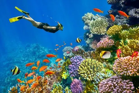 Viagens e Excursões em Sharm El Sheikh