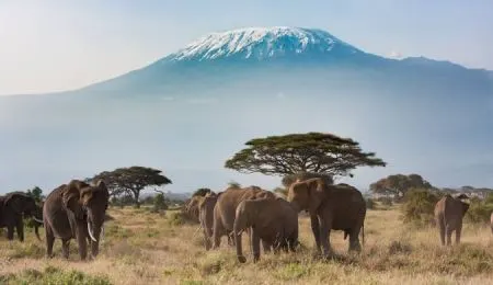 Tips for Visiting Africa
