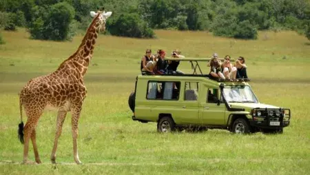 Egypt and Africa Tours