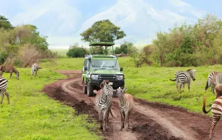 Best Kenya Safari Tour
