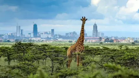 Kenya Travel Package