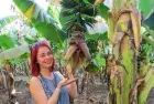 Experience the charm of Banana Island with a Luxor excursion
