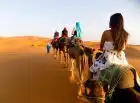 Camel trekking in the Moroccan Sahara adventure under endless skies