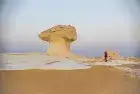 Bahariya Oasis Tours