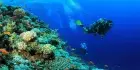 Mahmya Island snorkeling trip with Hurghada trips