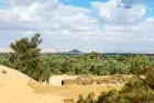 Siwa and Bahariya Oasis Tour