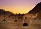 Hurghada Desert Safari By Jeep