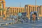 Horse Carriage Luxor Tour: Discover the Charm of Egypt’s Ancient City