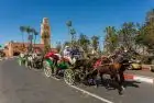 Horse-drawn carriage tours in Morocco