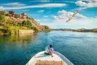 Best bird watching tour in Aswan Egypt exploring local bird species and the natural beauty of the Nile