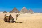 Explore Giza Pyramids on a Cairo day trip from Dahab