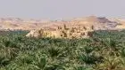 Excursão de 5 dias ao Oásis de Siwa