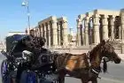 Explore Luxor’s wonders with a horse carriage day trip