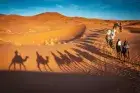 Enjoy thrilling dune adventures during the Dubai Desert Safari on your 7-day Dubai Family Tour.