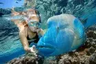 Snorkeling in Hurghada – Orange Bay Island Adventure