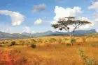 Golden sunset over Kenya’s wildlife reserves experienced during Africa tours.