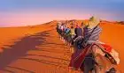 Explore the Sahara by camel in Morocco