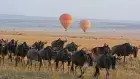 Hot air balloon flying above the Serengeti plains on a 4-Day Tanzania Serengeti Tour