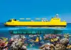 Marine life captured on Hurghada submarine tour excursion