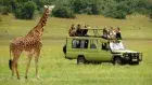 Giraffe in Serengeti National Park, Tanzania – Tanzania, Zanzibar & Egypt tour package in 17 Days