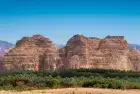 7 Days Saudi Arabia Tour