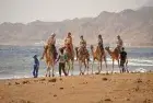 Dahab excursions include exciting desert safari trips