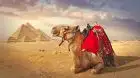 Great Pyramids of Giza featured in the Cairo and Dubai in 3 Days