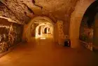 Cairo Excursions Saqqara Pyramids Visit Experience