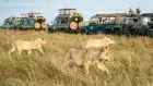 South Africa Travel Package
