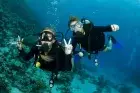 Snorkeling at Giftun Island coral reefs Hurghada Excursions