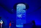 Colorful fish and coral at Hurghada Grand Aquarium excursions in Hurghada