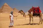 Camel ride at Giza Pyramids experience
