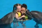 Family-friendly Sharm El Sheikh tours with a dolphin show