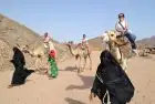 Jeep and camel ride in Hurghada desert on Egypt tours from USA